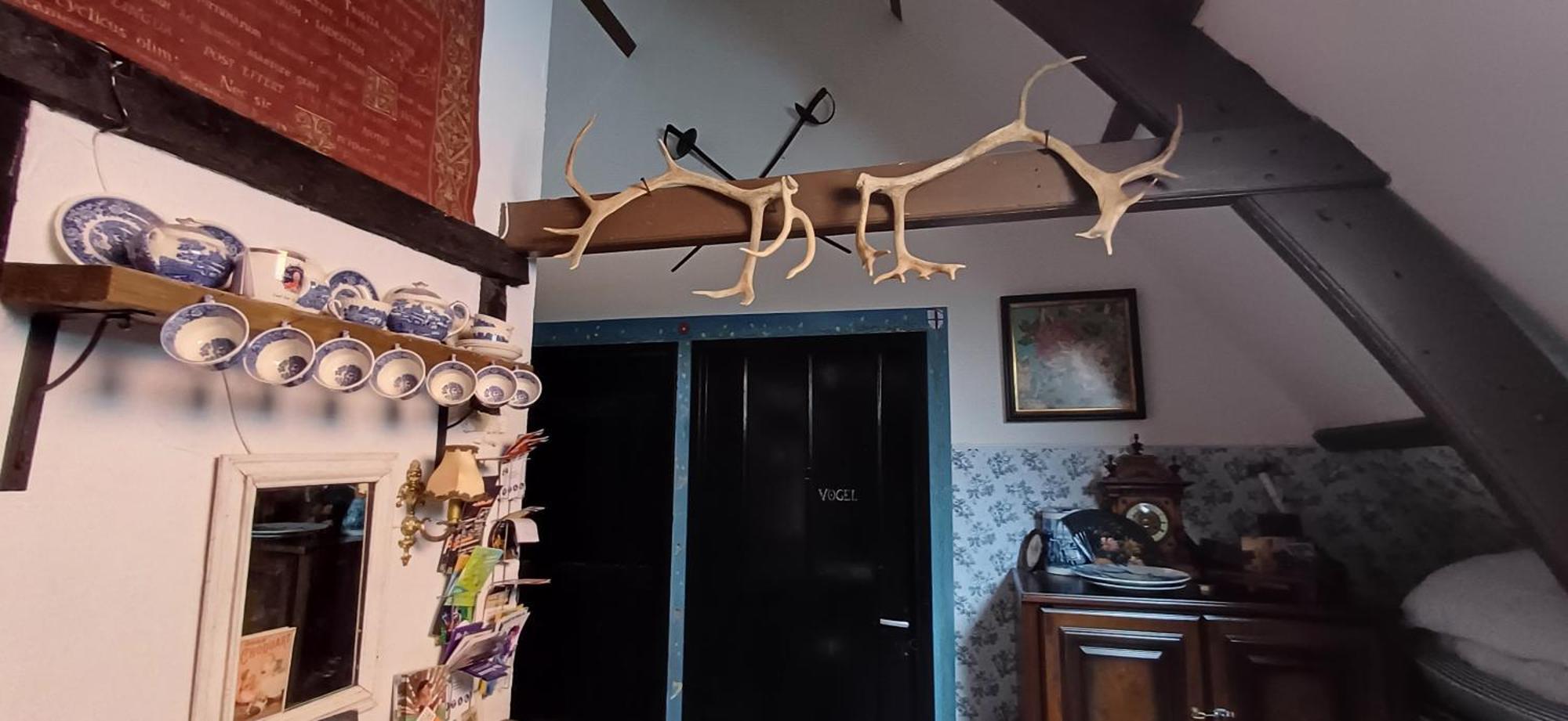 De Snoeperij Bed & Breakfast Dirksland Luaran gambar