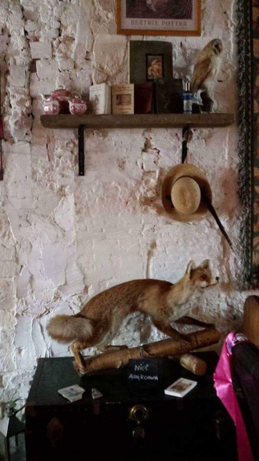 De Snoeperij Bed & Breakfast Dirksland Luaran gambar