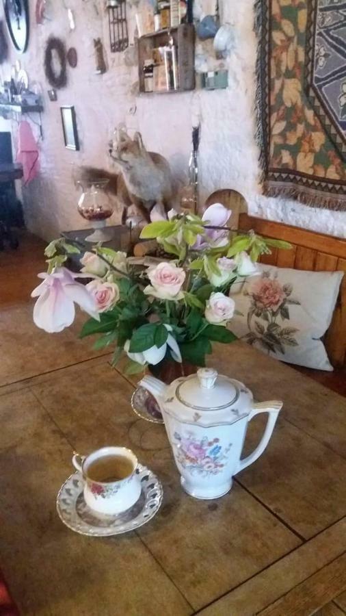 De Snoeperij Bed & Breakfast Dirksland Luaran gambar